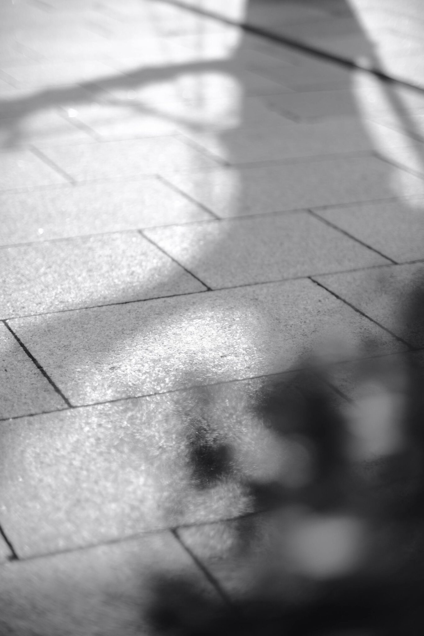 20 mm storio akmens masės lauko plytelių klojimas ant išlygintos skaldos sluoksnio su drenažu.